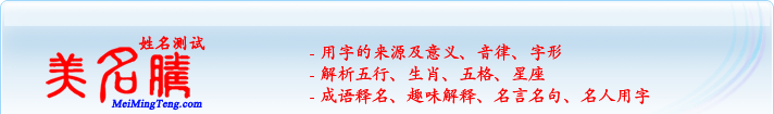 用字的來(lái)源及意義、音律、字形；五行、生肖、五格、星座；成語(yǔ)釋名、趣味解釋、名言名句、名人用字