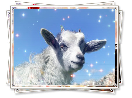 2015  羊?qū)殞毱鹈簩傺驗槭裁磸牧⒋核闫穑? /></a>2015羊?qū)殞毱鹈簩傺驗槭裁磸牧⒋核闫穑?源自美名騰智能起名網(wǎng)
問：2015年屬什么生肖? 2015年是什么年?
答：2015年生肖屬羊。2015年是農(nóng)歷乙未年（羊年）。
問：2015年立春是...</div>
							        <div style="height:5px; font-size:5px"></div>
							        <hr width="99%" style="text-align:center; border-style:dotted; border-width:0px; height:1px;" />
							        <div style="height:5px; font-size:5px"></div>
							    </div>
						        </td>
	</tr><tr style="border-width:0px;">
		<td valign="top">
						        <div style="padding-left:3px; padding-right:3px;line-height:180%">
							         <h3 style="padding:0px;margin:0px;display:inline;"><a id="ctl00_ContentPlaceHolder1_ShowMore1_dgNews_ctl12_HyperLink1" class="headline" href="/Message/ShowNews.aspx?NewsID=3502" target="_blank">2015羊?qū)殞毱鹈麑ｎ}：給羊?qū)殞毱饌€吉祥的好名字</a></h3>
							         <span id="ctl00_ContentPlaceHolder1_ShowMore1_dgNews_ctl12_Label1" style="color:Green;font-size:10pt;">2014/11/28 14:58:35</span>
							          <span style="color:Red;font-size:8pt;"></span>
							        <br />
							        <div style="padding-top:1px; width:95%; padding-left:8px; line-height:180%;color:#2f2f2f;font-size:14px;" ><a href=