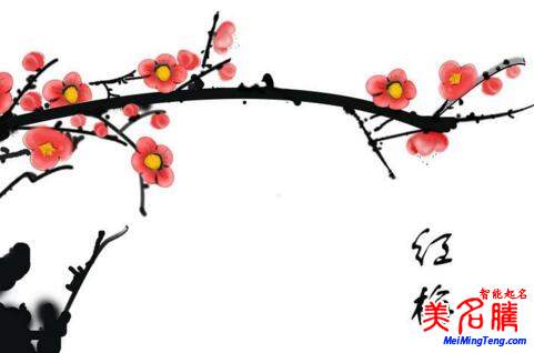 什么樣的詩經才最適合取名