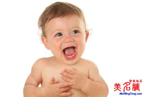 楊姓起名，楊姓屬狗男寶寶起名大全