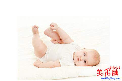 楊姓起名，楊姓屬狗男寶寶起名大全