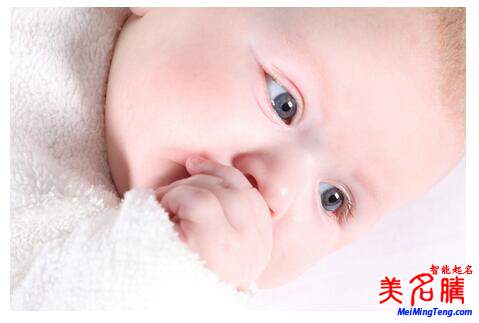 楊姓起名，楊姓屬狗男寶寶起名大全