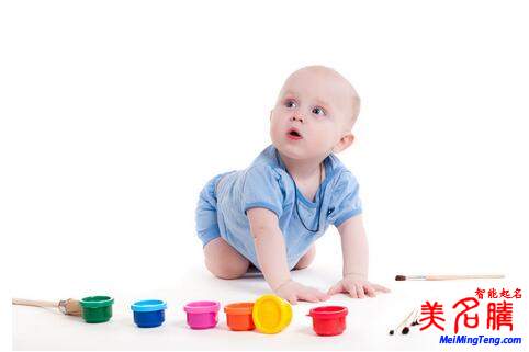 楊姓起名，楊姓屬狗男寶寶起名大全